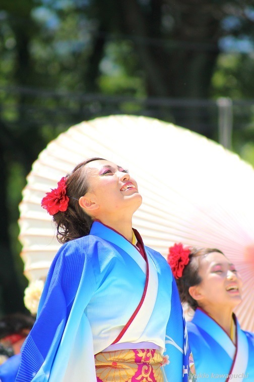 IMG_0390-7HC.jpg