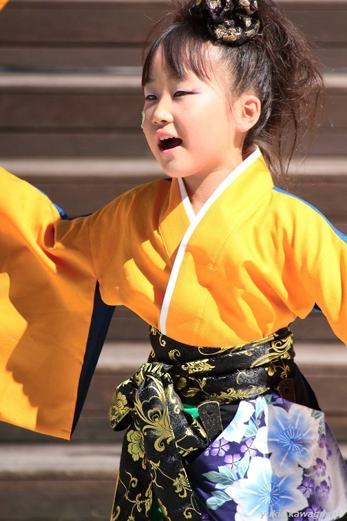 IMG_0544-2HC.jpg