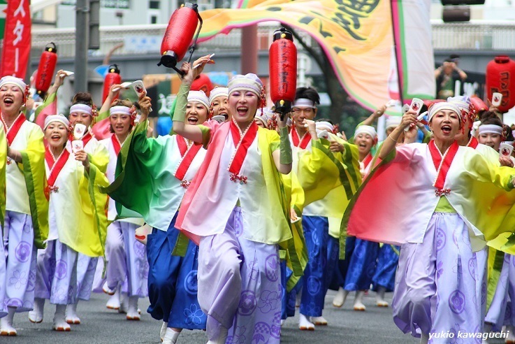 第１８回 にっぽんど真ん中祭り ２０１６ どまつり No ６４ コンコン豊川 さん No 2 ピンボケ ラクダ ポンコツおやじのお祭り フォト